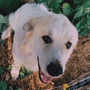 Meet your Posher, Tim